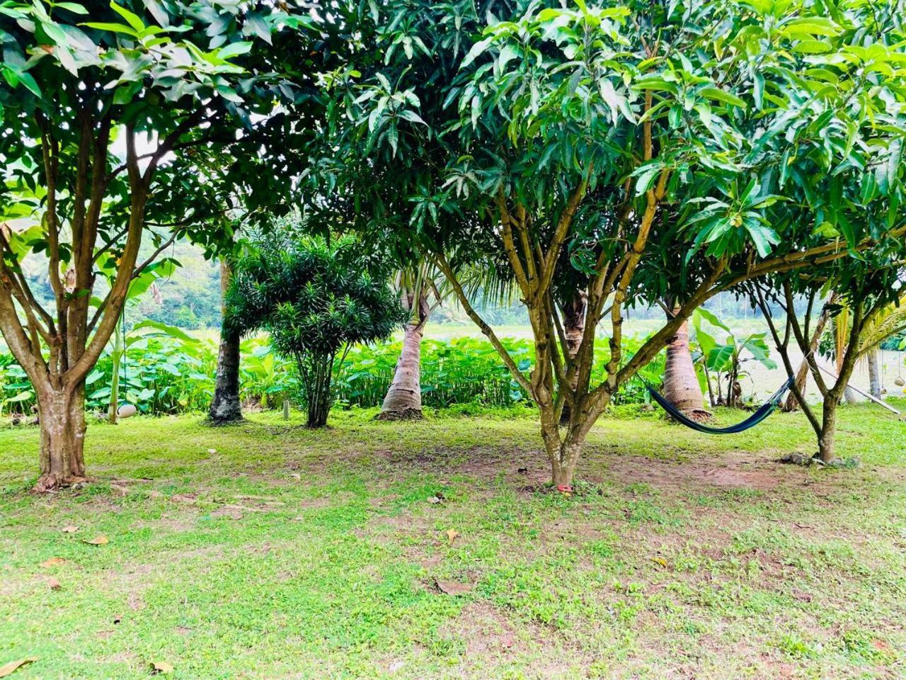 Secret Garden Mirissa Vila Exterior foto